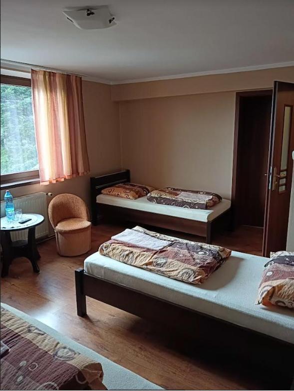 Villa Antonowka Pod Dudziarzem à Radomierz Extérieur photo