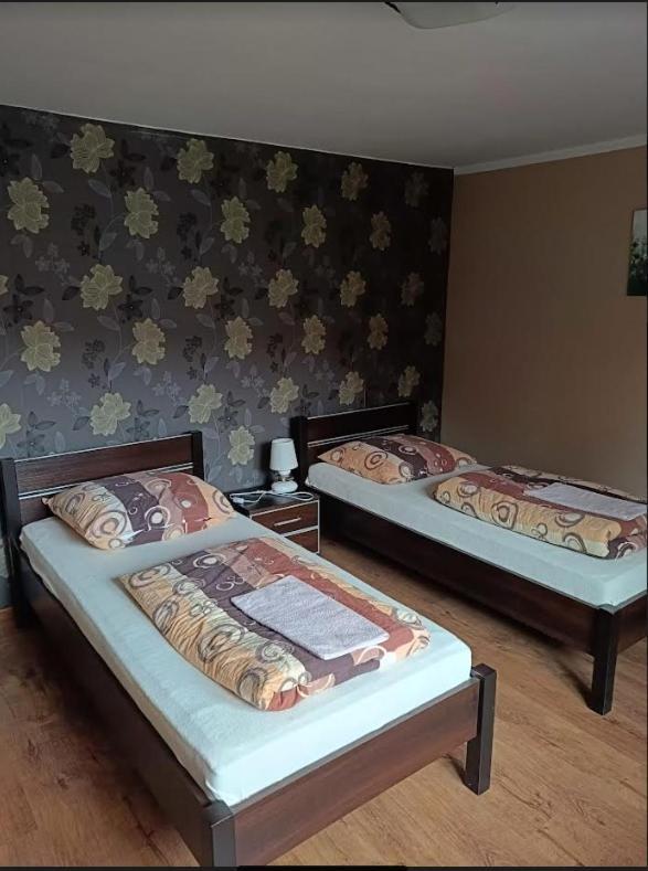Villa Antonowka Pod Dudziarzem à Radomierz Extérieur photo